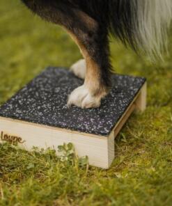 Target Hamtal Tartan Rubber 13 Target Hamtal Tartan Rubber