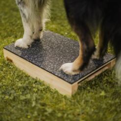 Target Hamtal Tartan Rubber