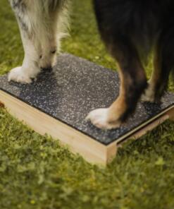 Target Hamtal Tartan Rubber 14 Target Hamtal Tartan Rubber