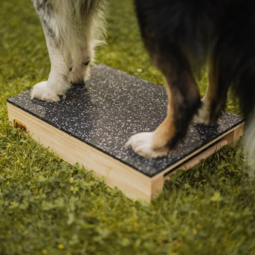 Target Hamtal Tartan Rubber 6 Target Hamtal Tartan Rubber