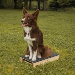 Target Hamtal Tartan Rubber