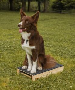 Target Hamtal Tartan Rubber 19 Target Hamtal Tartan Rubber