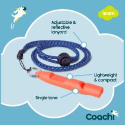 Training Fluit Coachi Company of Animals Hondenfluit 3