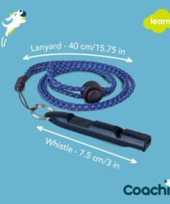 Alternative view of Training Fluit