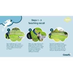 Training Fluit Coachi Company of Animals Hondenfluit 5