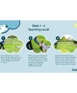 Training Fluit 10 Training Fluit Coachi Company of Animals Hondenfluit 5