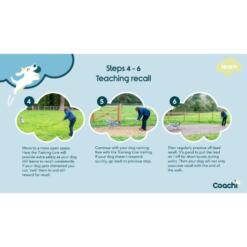 Training Fluit Coachi Company of Animals Hondenfluit 6