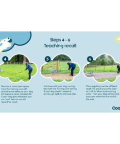 Training Fluit 11 Training Fluit Coachi Company of Animals Hondenfluit 6