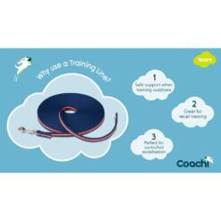 Homepage The Dog Company 6 Trainingslijn 10 meter