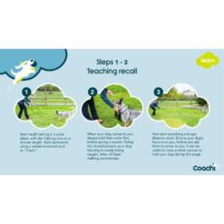 Trainingslijn 10 meter