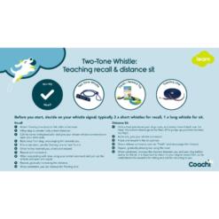 Two Tone Fluit 10 Two Tone Fluit