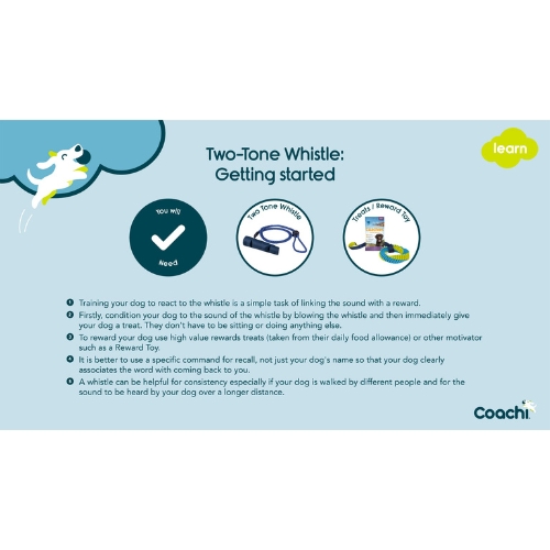 Two Tone Fluit 7 Two Tone Fluit