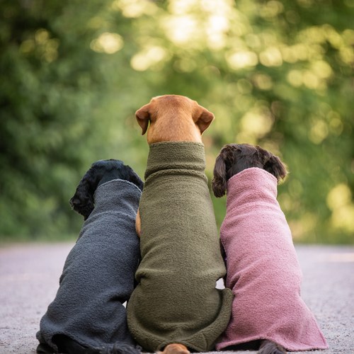 PolarPomppa Fleece Hondentrui met Rits 7 Drie honden van achteren in de PolarPomppa in Stone, Olive en Mallow