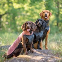 PolarPomppa Fleece Hondentrui met Rits 15 Drie honden in de PolarPomppa fleece hondentrui op een rots in het bos