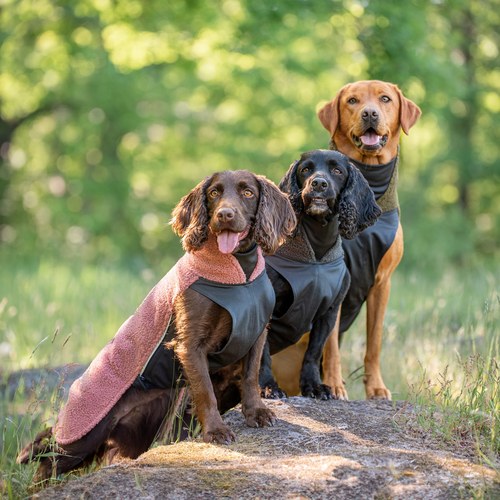 PolarPomppa Fleece Hondentrui met Rits 8 Drie honden in de PolarPomppa fleece hondentrui op een rots in het bos