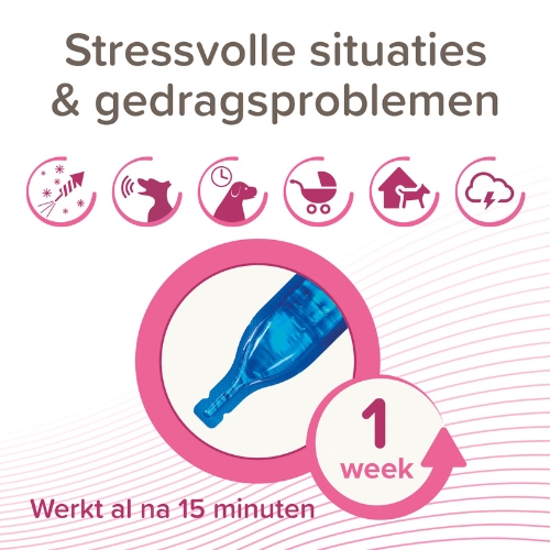 CaniComfort 12 Canicomfort