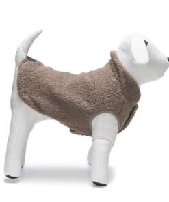 Hondentrui Madeleine