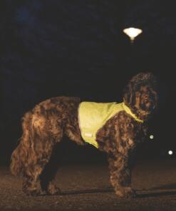 Reflecterend Veiligheidsvest Ava