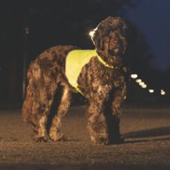 Reflecterend Veiligheidsvest Ava