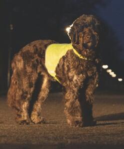 Reflecterend Veiligheidsvest Ava