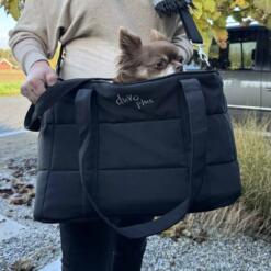 Trail 2-in-1 Reistas