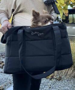 Trail 2-in-1 Reistas