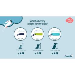 Training Dummy 12 Training Dummy