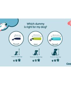 Training Dummy 12 Training Dummy