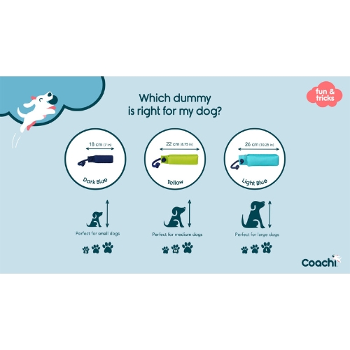 Training Dummy 6 Training Dummy