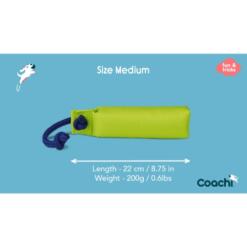 Training Dummy 14 Training Dummy