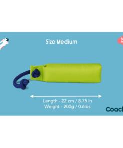 Training Dummy 14 Training Dummy