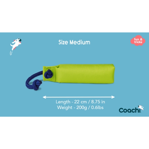 Training Dummy 8 Training Dummy