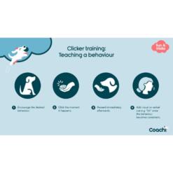 Whizzclick 15 Whizzclick