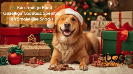 🎄 Kerst met je Hond: Gezellige Cadeaus, Speeltjes en Smakelijke Snacks