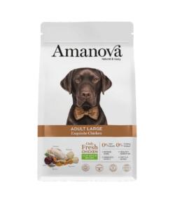 Wat is het verschil tussen hondenbrokken en vlees? 17 AM Adult Large Exquisite Chicken