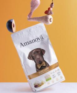 AM Adult Large Exquisite Chicken