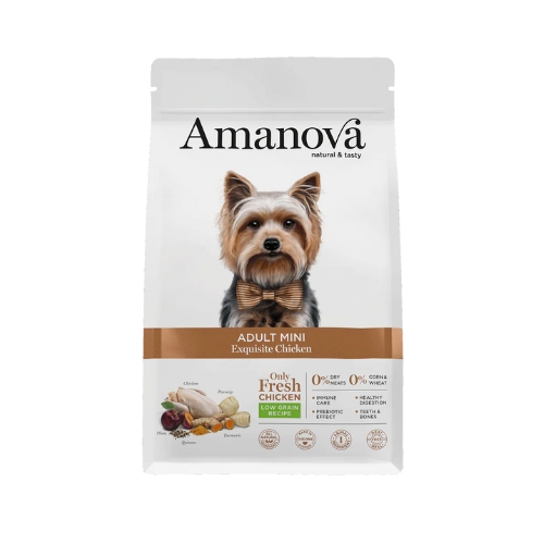 AM Adult Mini Exquisite Chicken 3 AM Adult Mini Exquisite Chicken