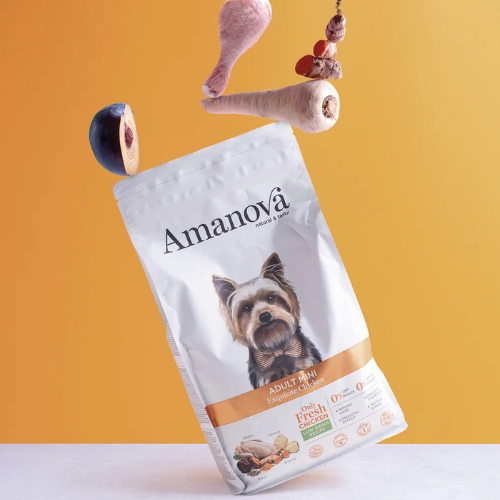 AM Adult Mini Exquisite Chicken 4 AM Adult Mini Exquisite Chicken