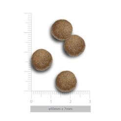 AM Puppy Medium Exquisite Chicken