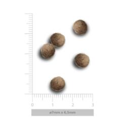 AM Puppy Mini Exquisite Chicken