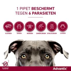 Advantix
