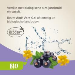 Bio Shampoo bij Jeuk
