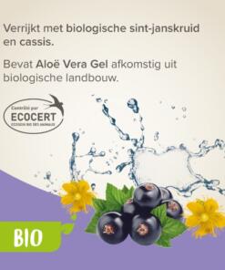 Bio Shampoo bij Jeuk