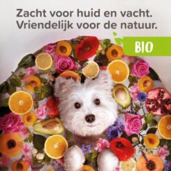 Bio Shampoo bij Jeuk