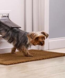 Deur Aluminium Wit/Transparant