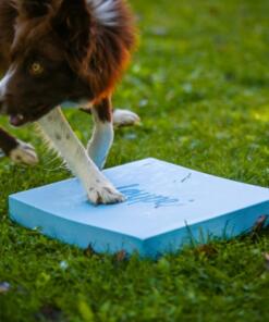 Foam Target YogoDoggo 28 Foam Target YogoDoggo