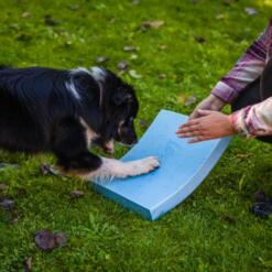 Foam Target YogoDoggo