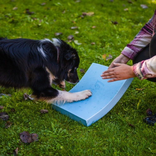 Foam Target YogoDoggo 4 Foam Target YogoDoggo