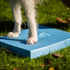 Foam Target YogoDoggo