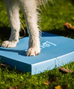 Foam Target YogoDoggo 22 Foam Target YogoDoggo